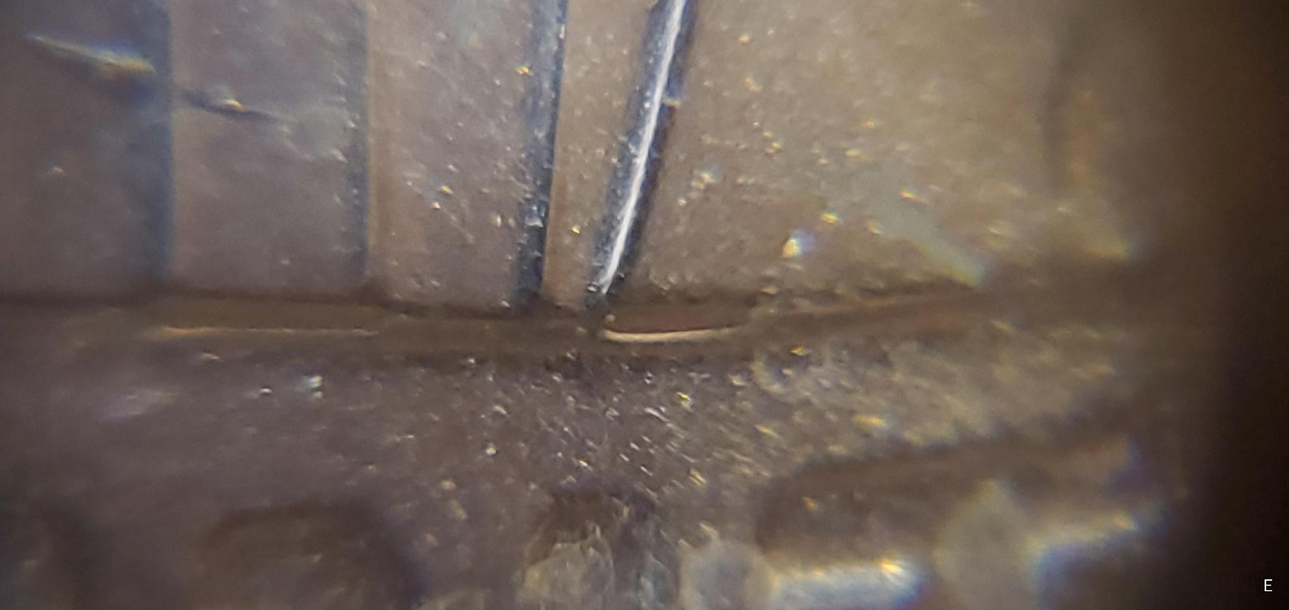 2021-D-Lincoln-Shield-Cent-Possible-DDR?