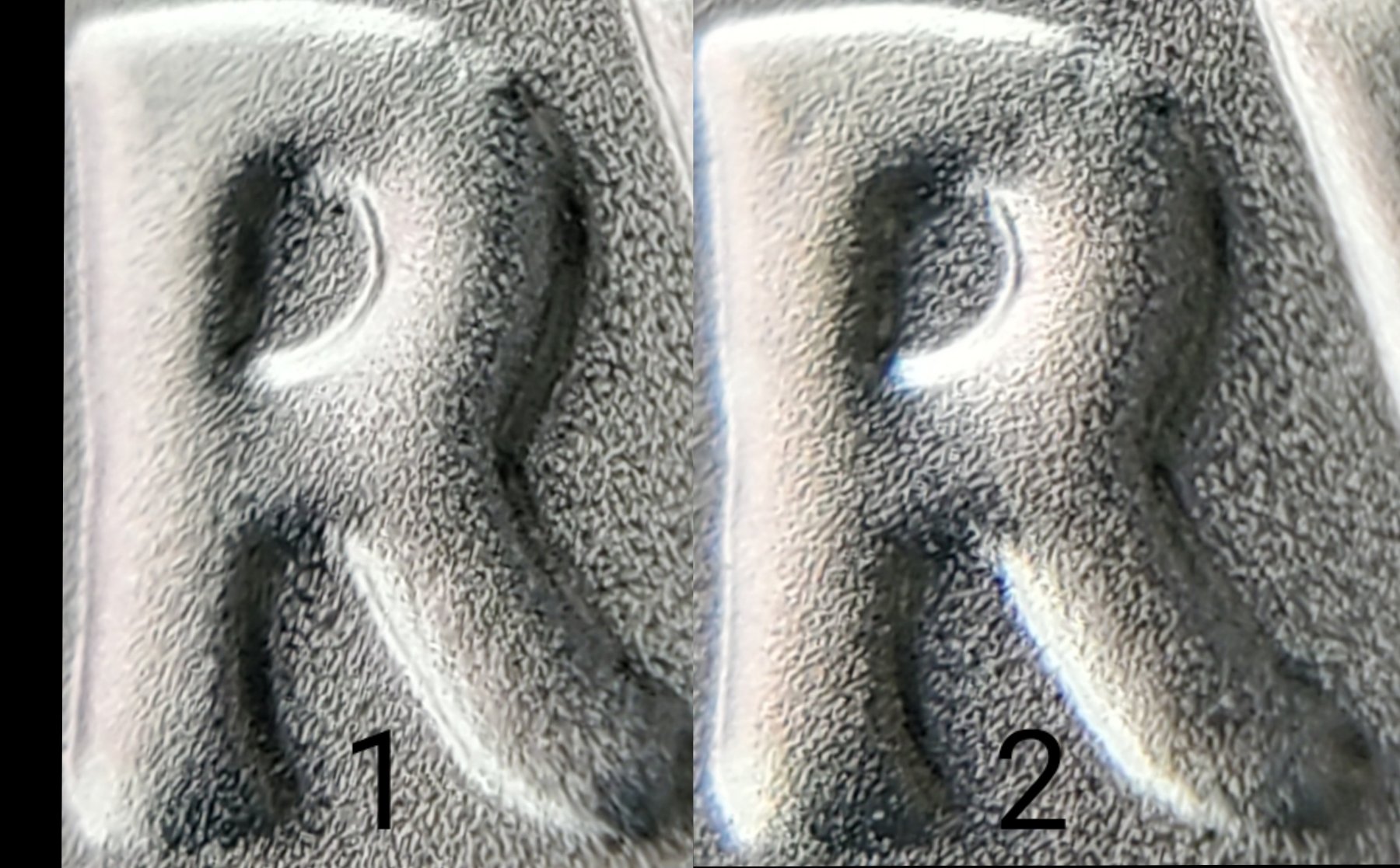 2021-Peace-Dollar-Question