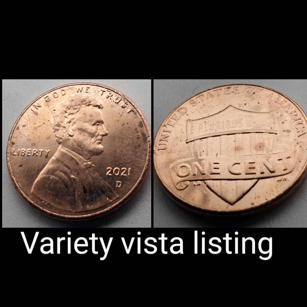 2021-D-Lincoln-Shield-DDR-Varieties