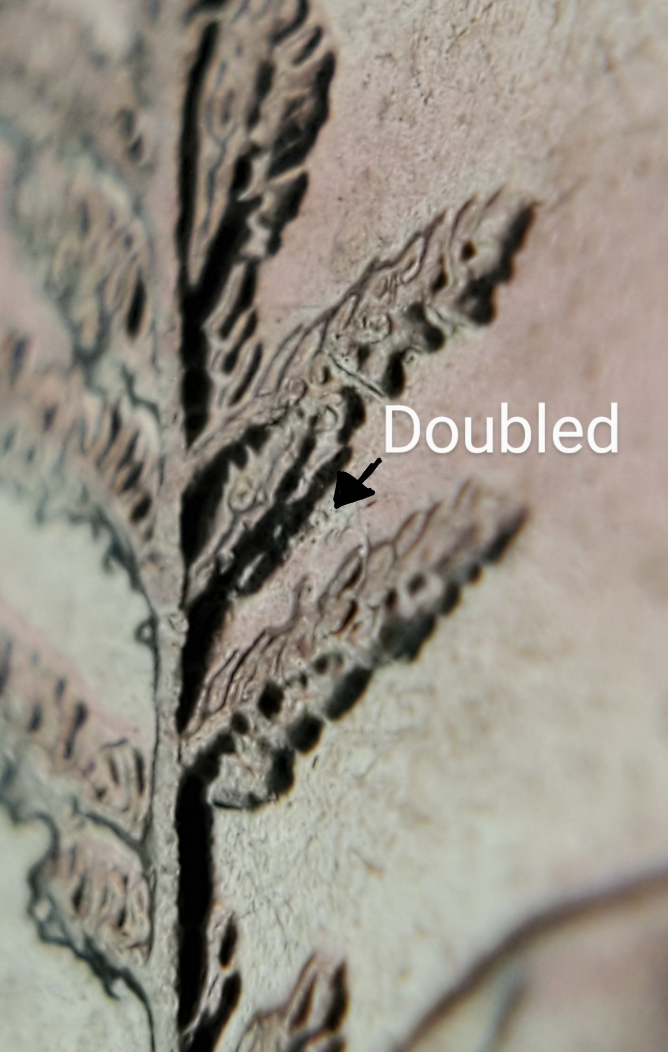 2020-W-Marsh-Billings-Possible-DDR?