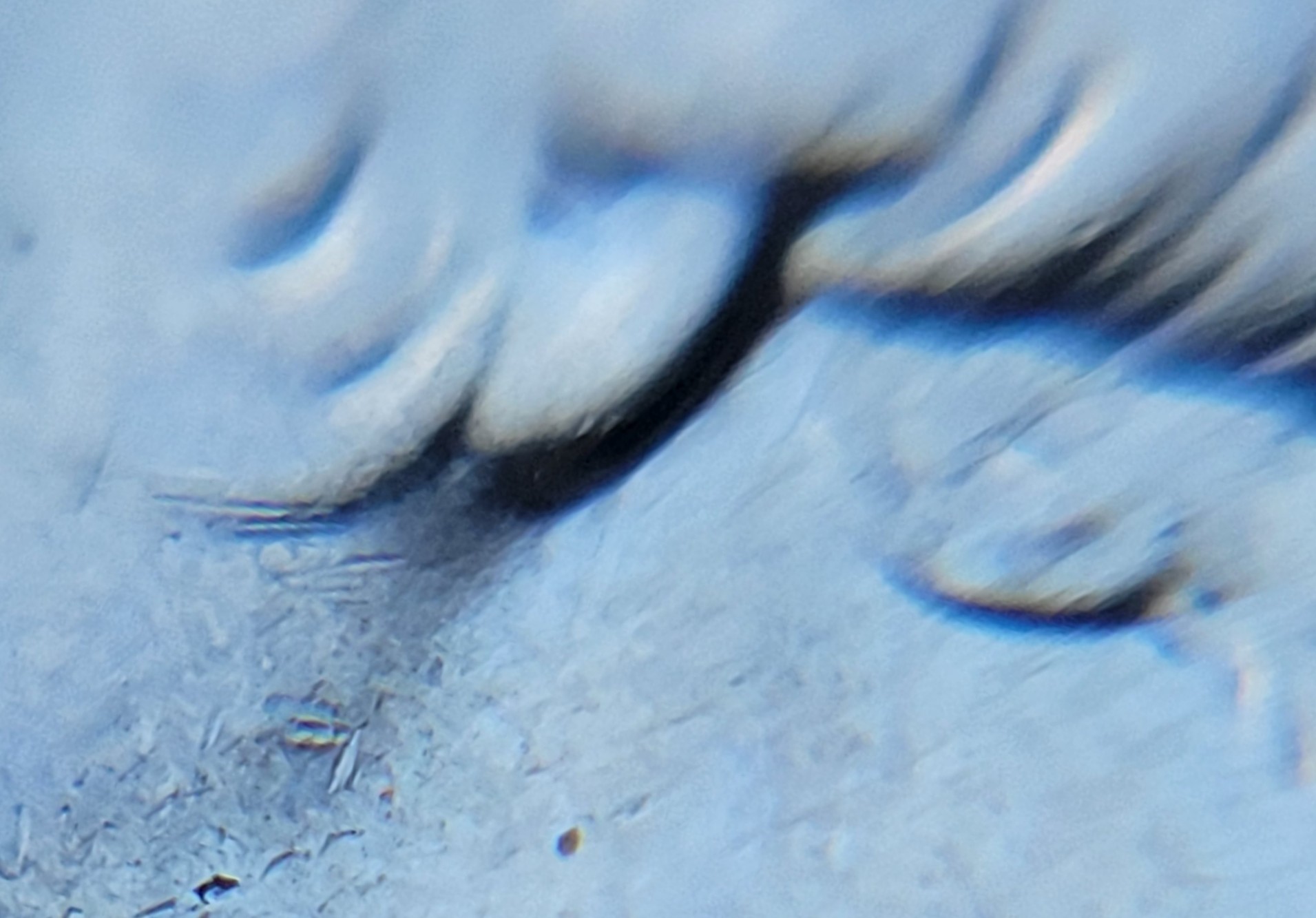 2021-D-Quarter-Ear-Question