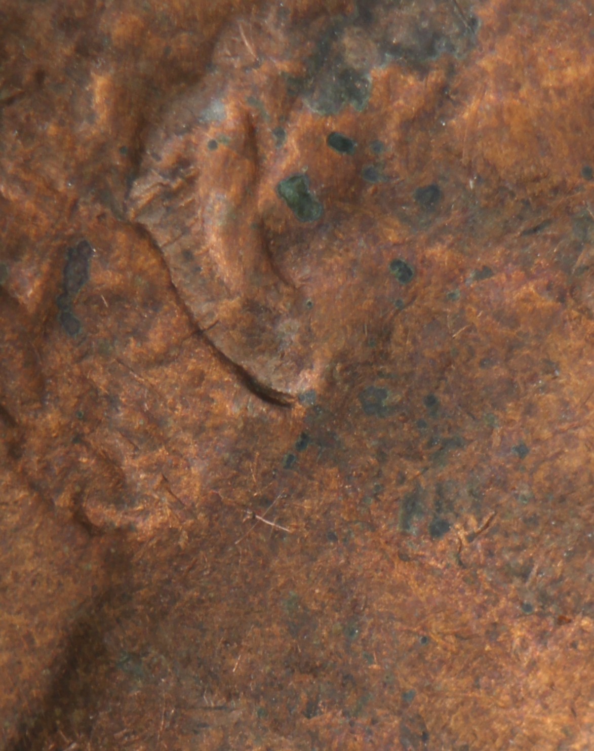 1982-D-Lincoln-Cent-DDO?