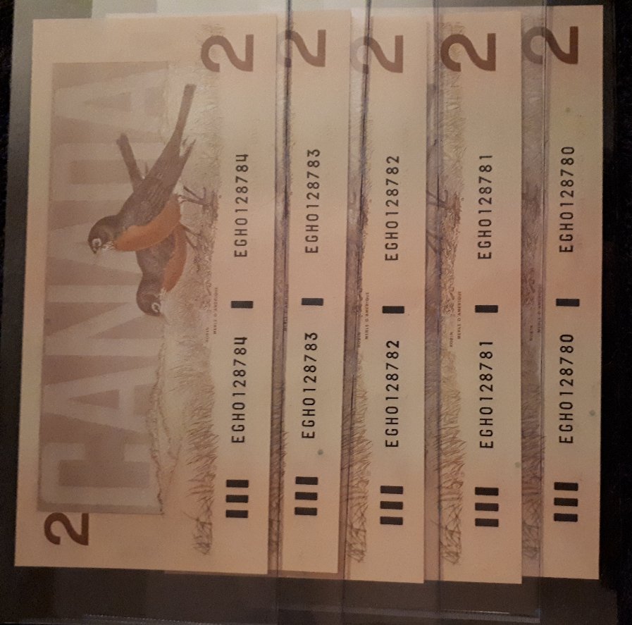 5-Consecutive-Serial-Numbers-1986-Canadian-2-Dollar-Bill