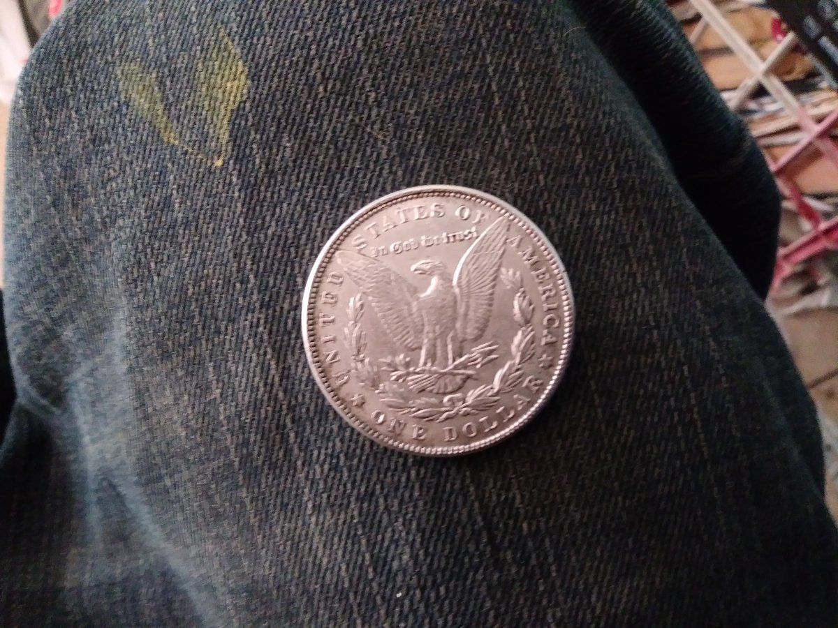 1795-Silver-Dollar-Real-Or-Fake