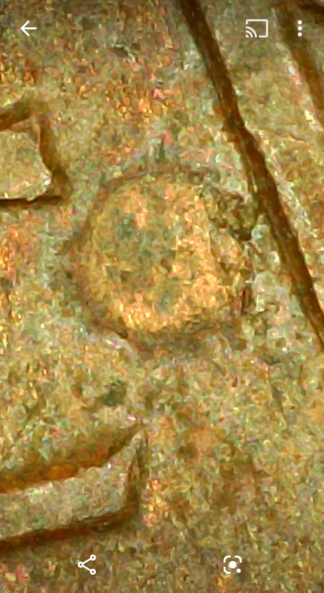 1960-Licoln-Penny-Is-It-An-Error-New-To-Coins