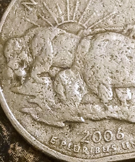 2006-Quarter-Error-I-Don't-Know