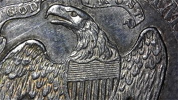 1877-S-Half-Dollar.--Your-Thoughts-On-It's-Condition.