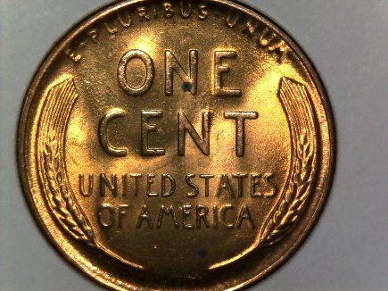 Things-Are-Getting-Really-Strange-With-Circulation-Finds.