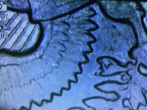 1976-Kennedy-Mechanical-Or-DDR-Error?