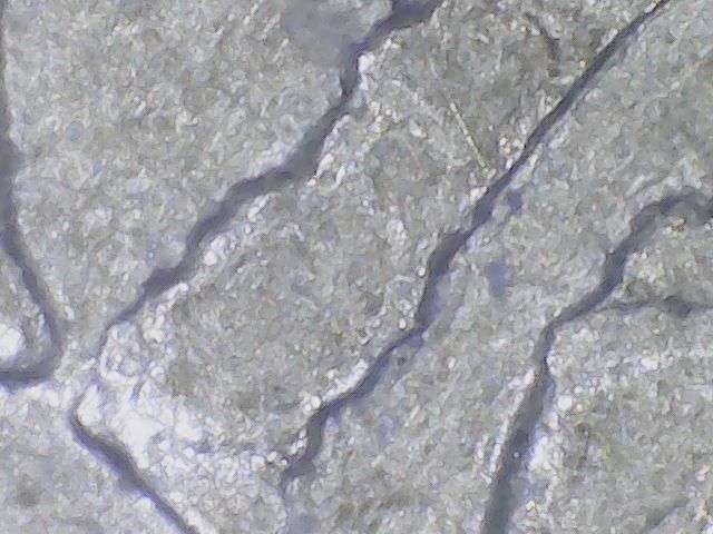 2001-Vermont-State-Errors-Both-Sides?