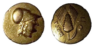 Rare-Metapontion-1/6-Gold-Stater-Or-Just-Plain-Fake?