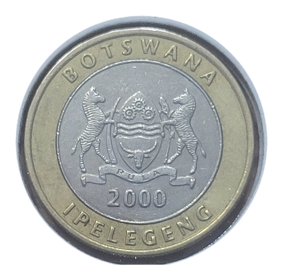 Post-Your-Coins-Representing-The-Animal-Kingdom.