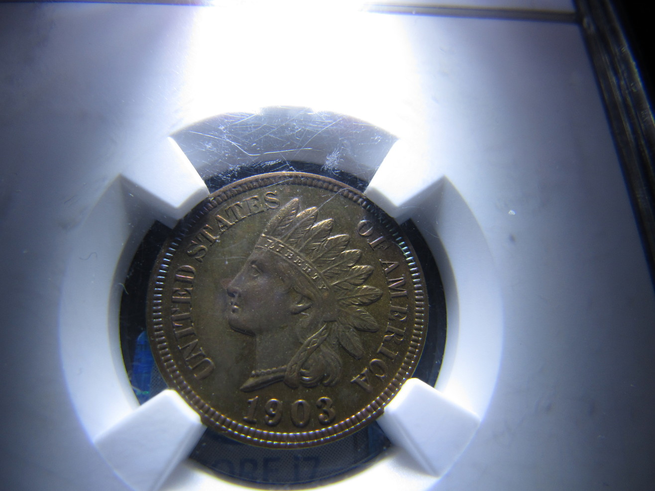 1903-NGC-Indian-Cent-Proof--Brown-New-Photos