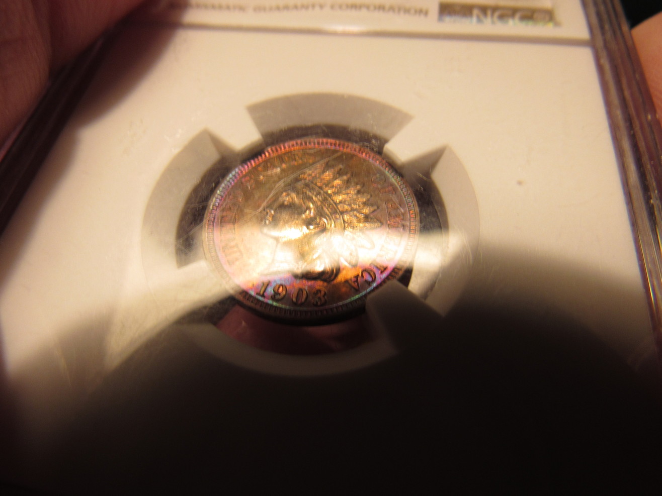 1903-NGC-Indian-Cent-Proof--Brown-New-Photos