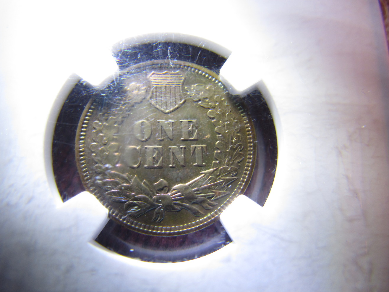 1903-NGC-Indian-Cent-Proof--Brown-New-Photos