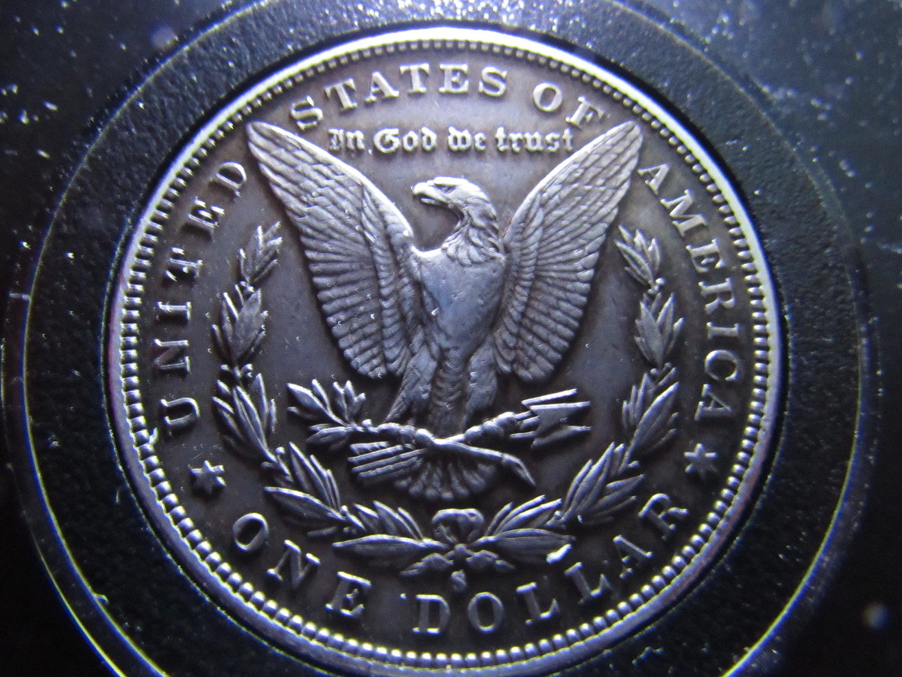 1886-S-Morgan-Dollar-Raw-Grade-Me-Please