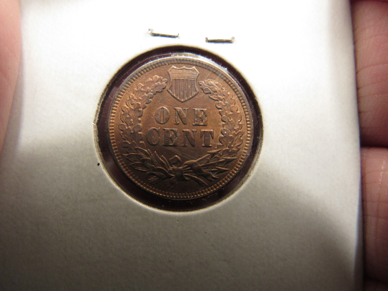 Colorful-1901-IHP-Die-Clash-Tdc-1c-1901-01