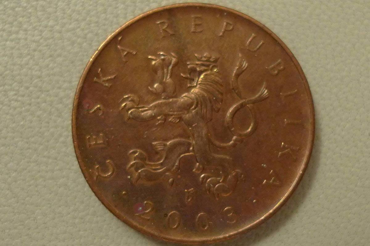 Post-Your-Lion-Coins!