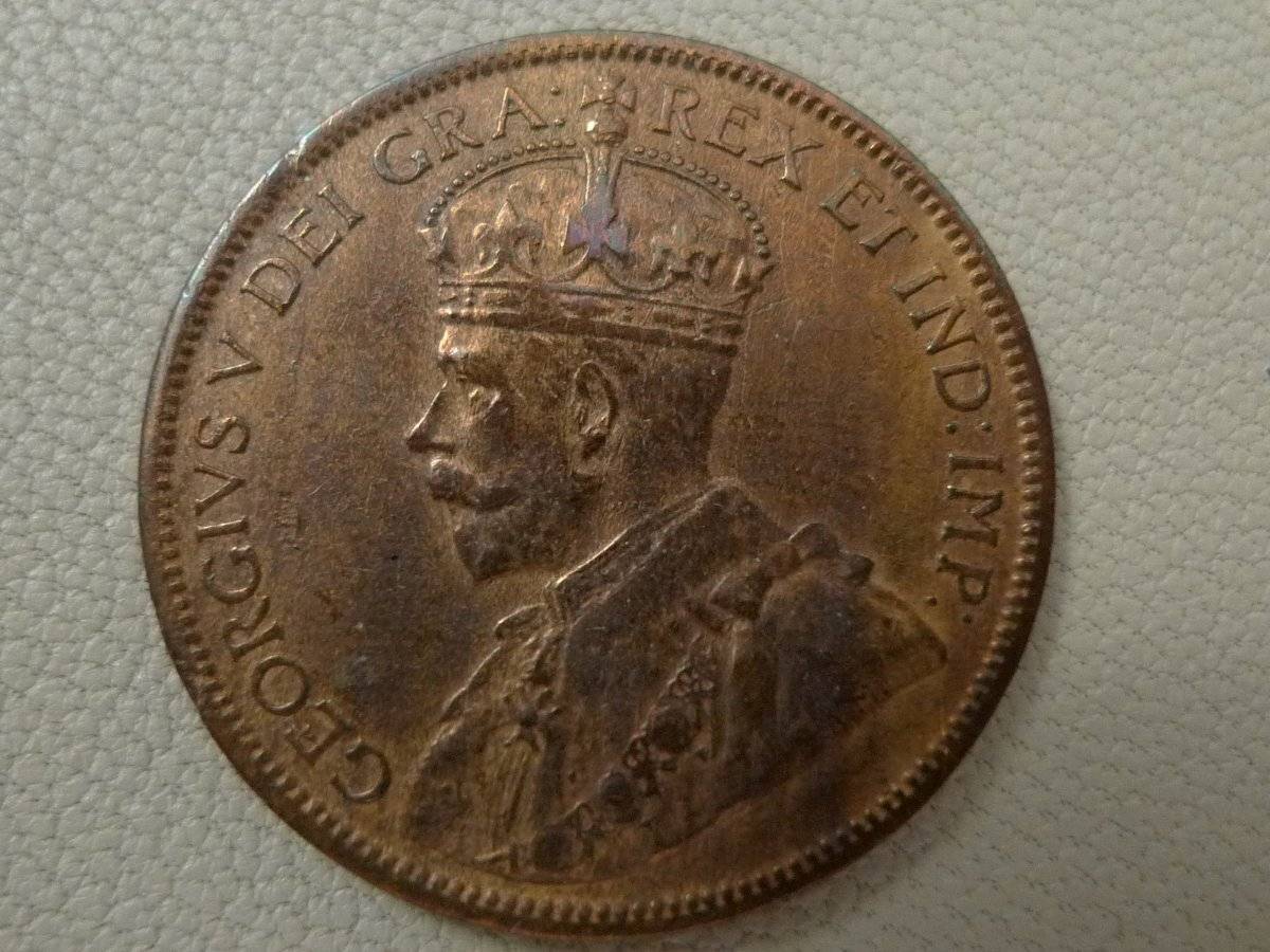 Anyone-Wood-Grain-Toning-Collectors?---Post-Yours!