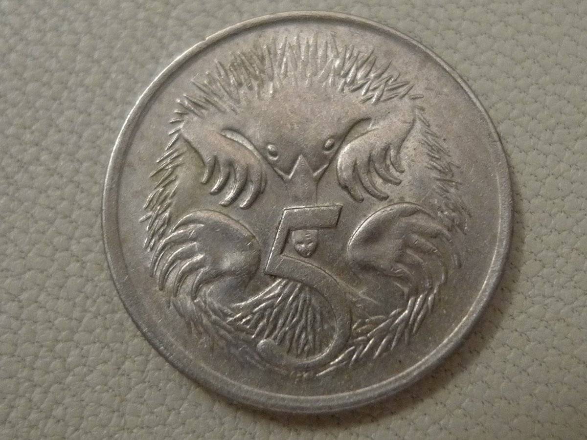 Post-Your-Coins-Representing-The-Animal-Kingdom.