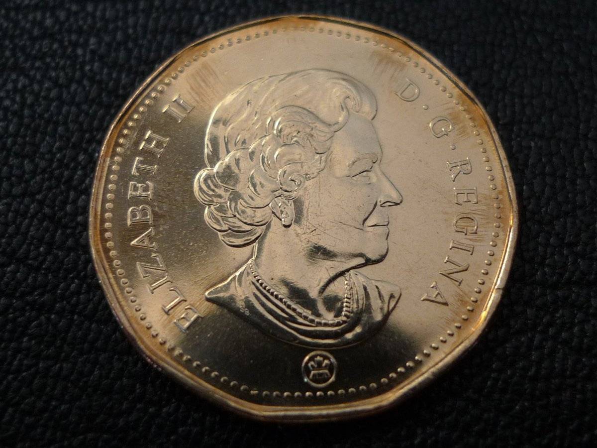 Post-Your-Coins-Representing-The-Animal-Kingdom.