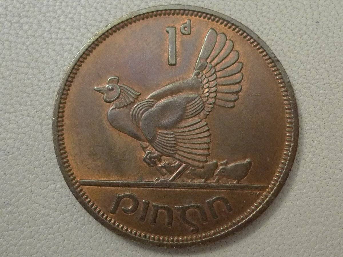Post-Your-Coins-Representing-The-Animal-Kingdom.