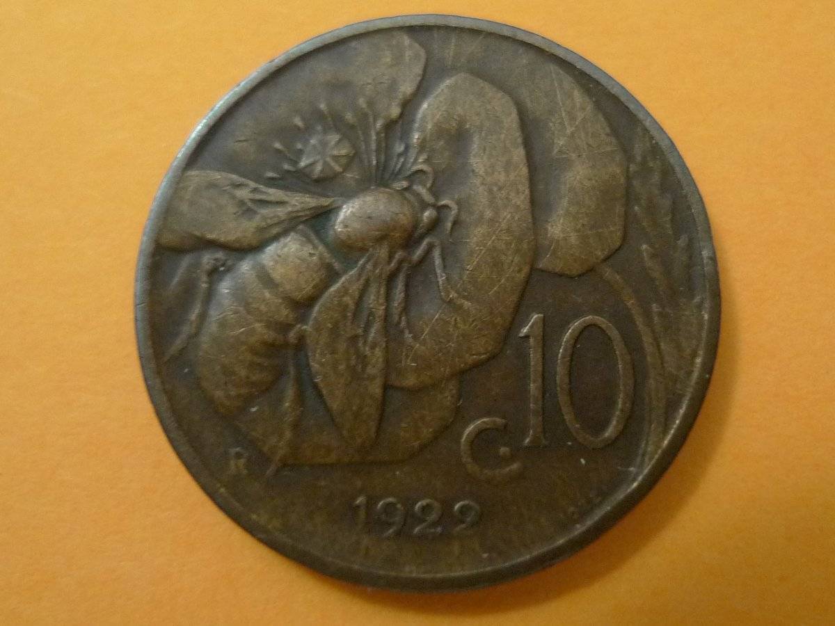 Post-Your-Coins-Representing-The-Animal-Kingdom.