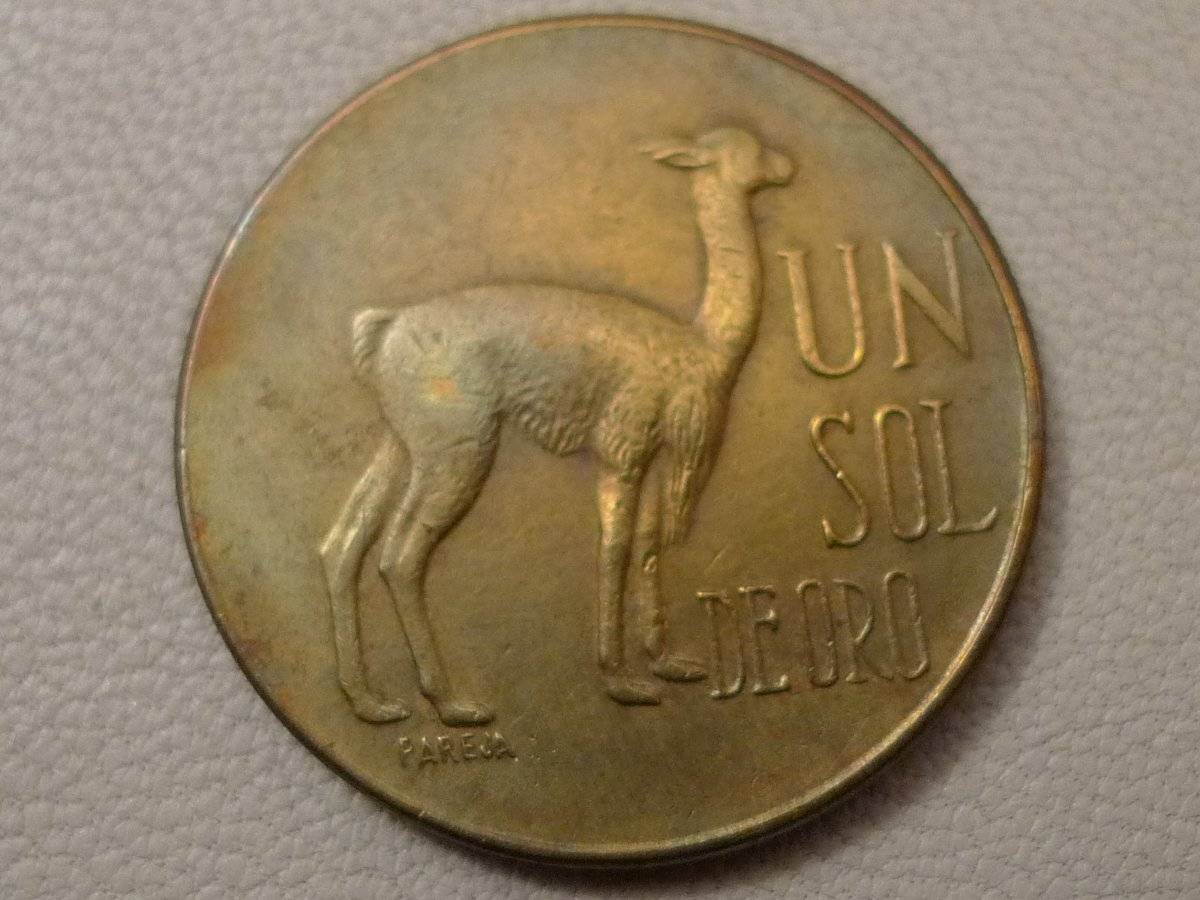 Post-Your-Coins-Representing-The-Animal-Kingdom.