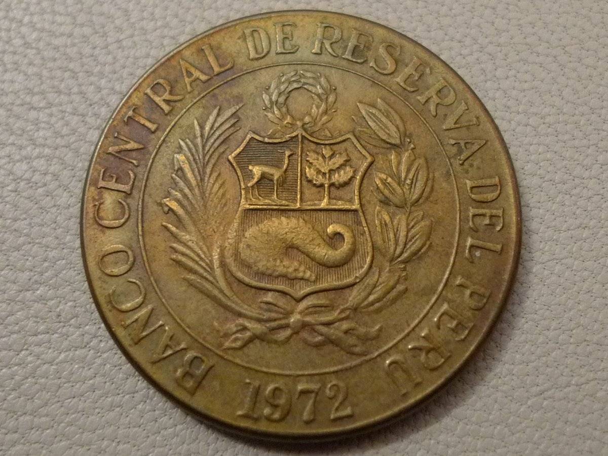 Post-Your-Coins-Representing-The-Animal-Kingdom.