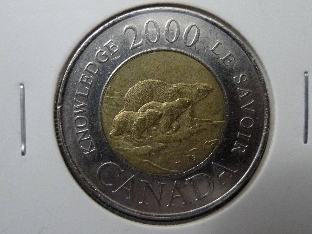Post-Your-Coins-Representing-The-Animal-Kingdom.