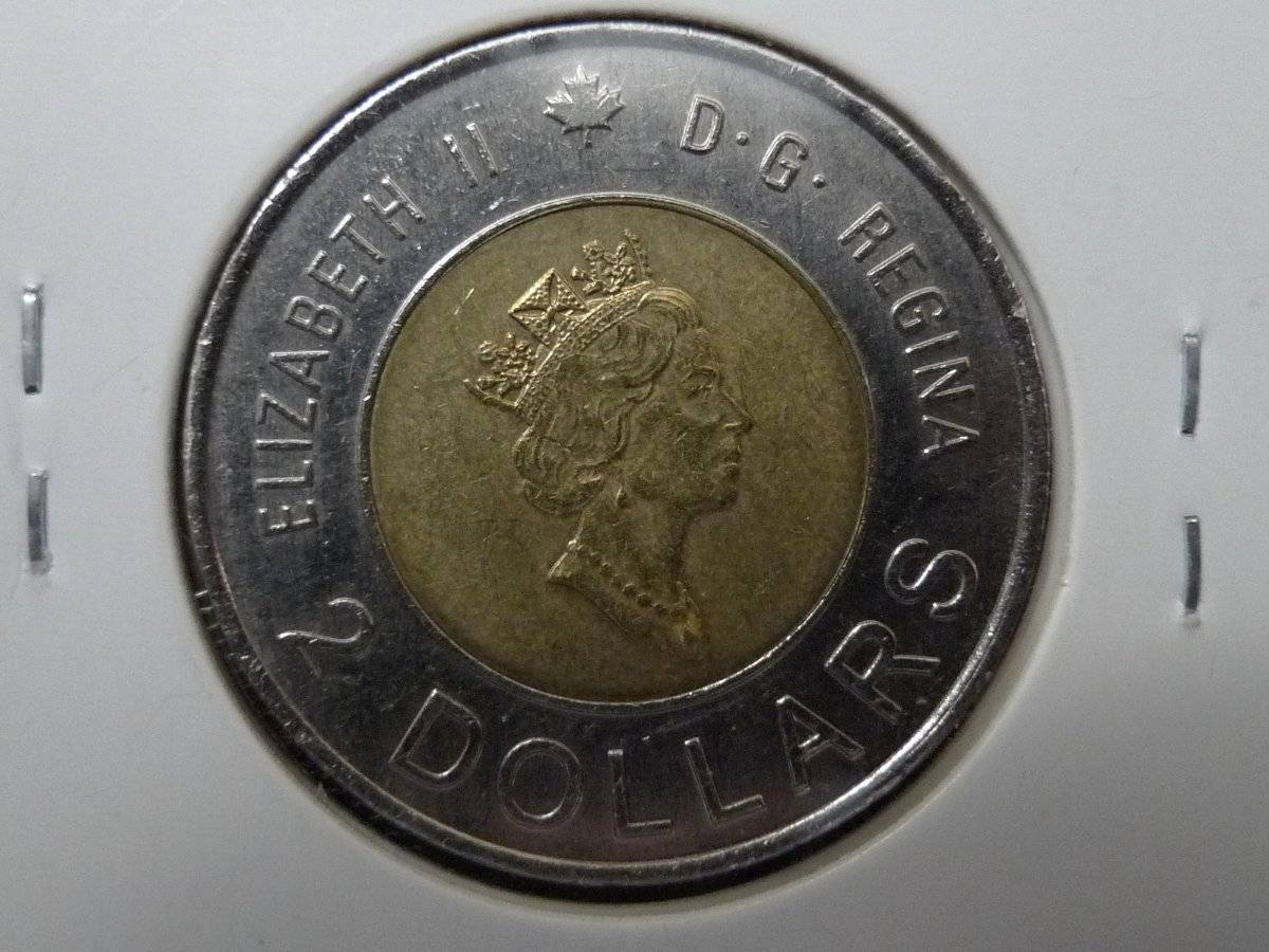Post-Your-Coins-Representing-The-Animal-Kingdom.