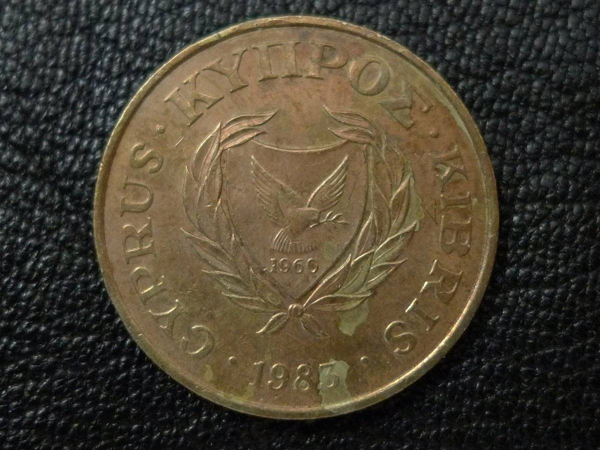 Post-Your-Coins-Representing-The-Animal-Kingdom.