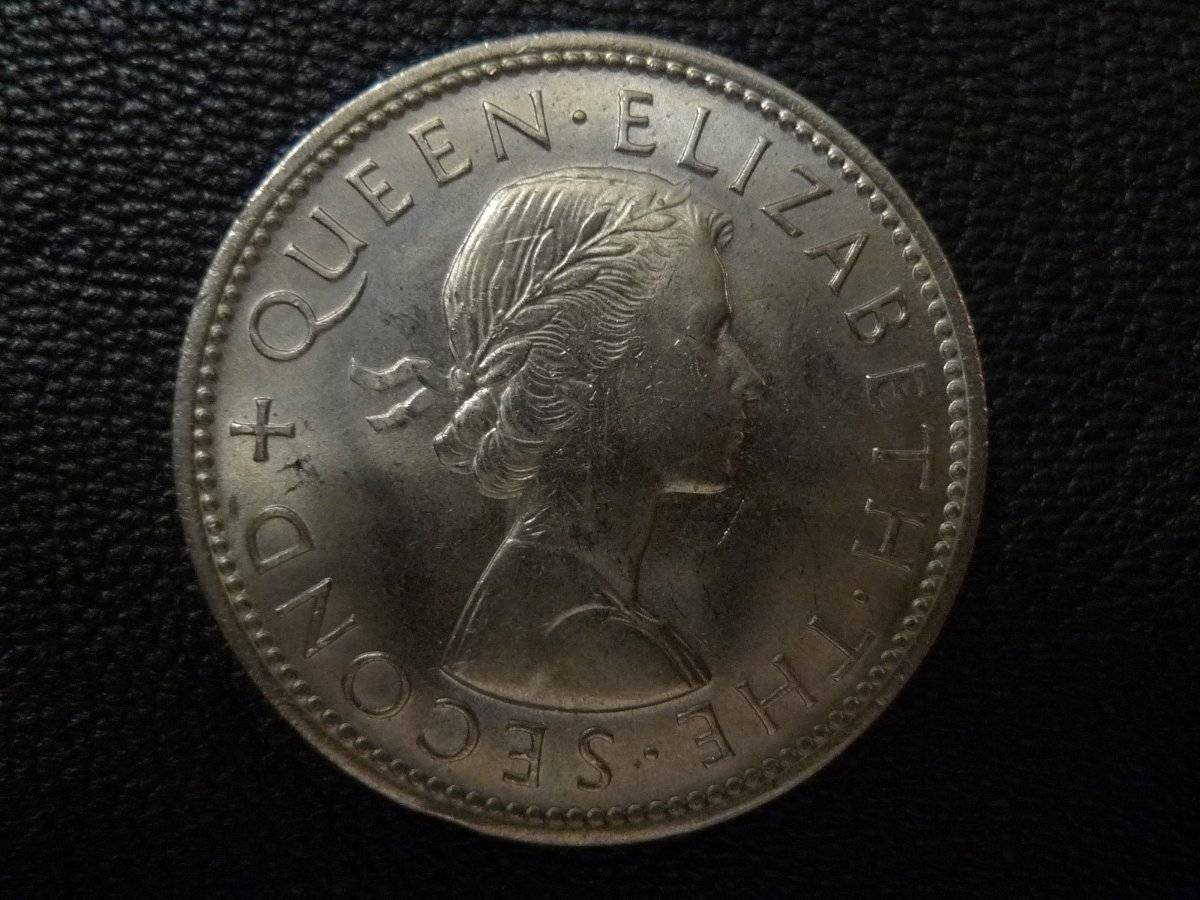 Post-Your-Coins-Representing-The-Animal-Kingdom.