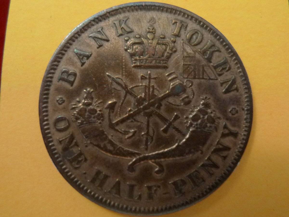 Post-Your-Coins-Representing-The-Animal-Kingdom.