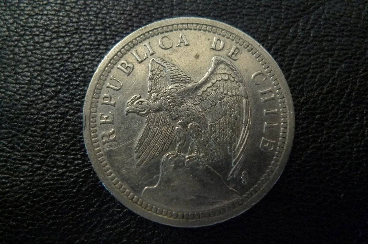 Post-Your-Coins-Representing-The-Animal-Kingdom.