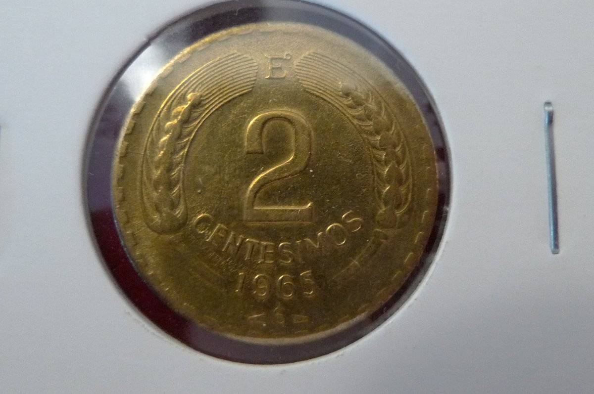 Post-Your-Coins-Representing-The-Animal-Kingdom.
