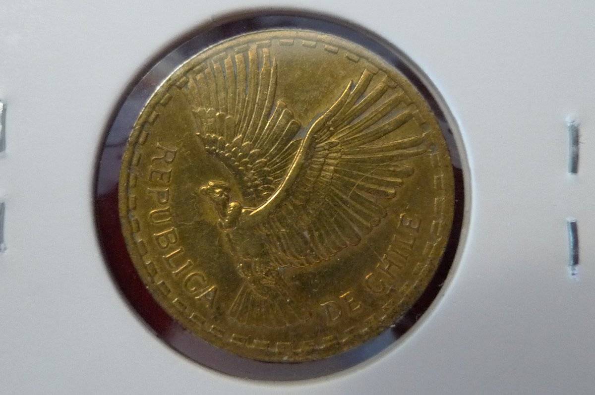 Post-Your-Coins-Representing-The-Animal-Kingdom.