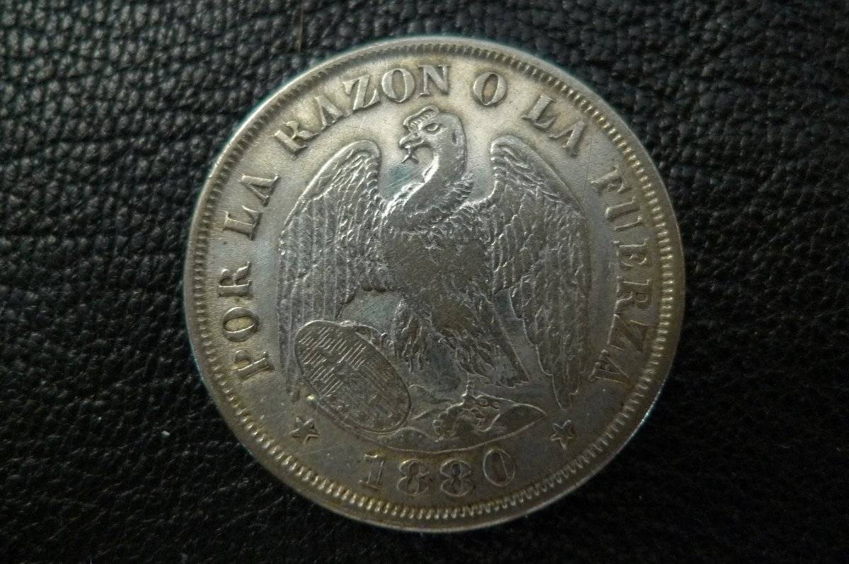 Post-Your-Coins-Representing-The-Animal-Kingdom.