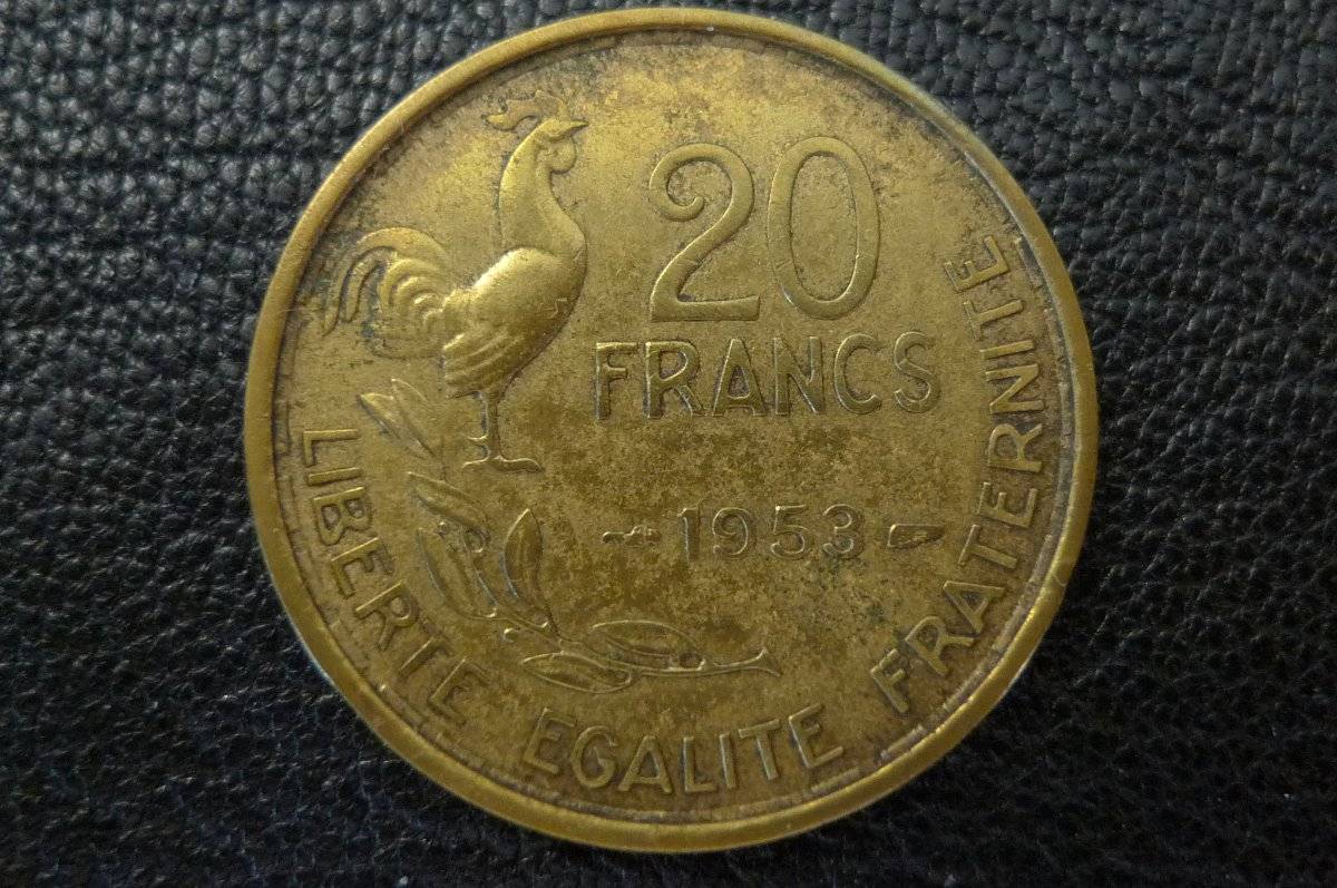 Post-Your-Coins-Representing-The-Animal-Kingdom.