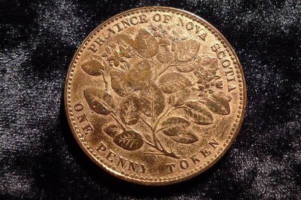 166-Days-Of-Yakko's-World-Coins