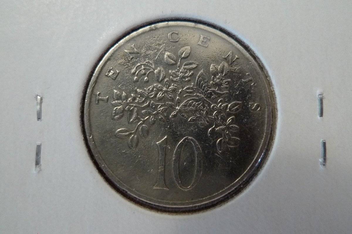 166-Days-Of-Yakko's-World-Coins