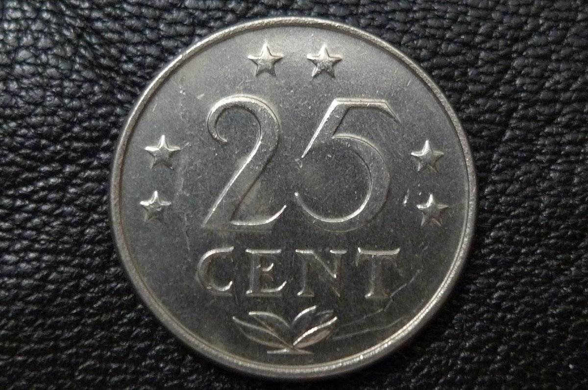 166-Days-Of-Yakko's-World-Coins