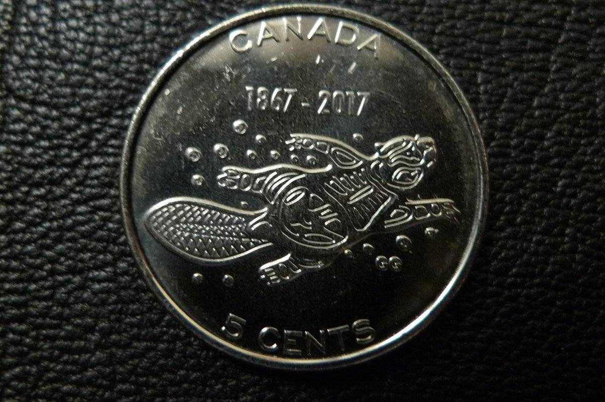 Post-Your-Coins-Representing-The-Animal-Kingdom.