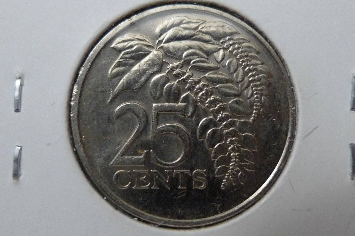 166-Days-Of-Yakko's-World-Coins