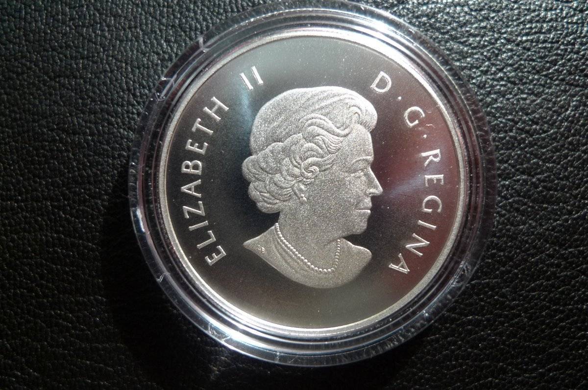 Post-Your-Coins-Representing-The-Animal-Kingdom.