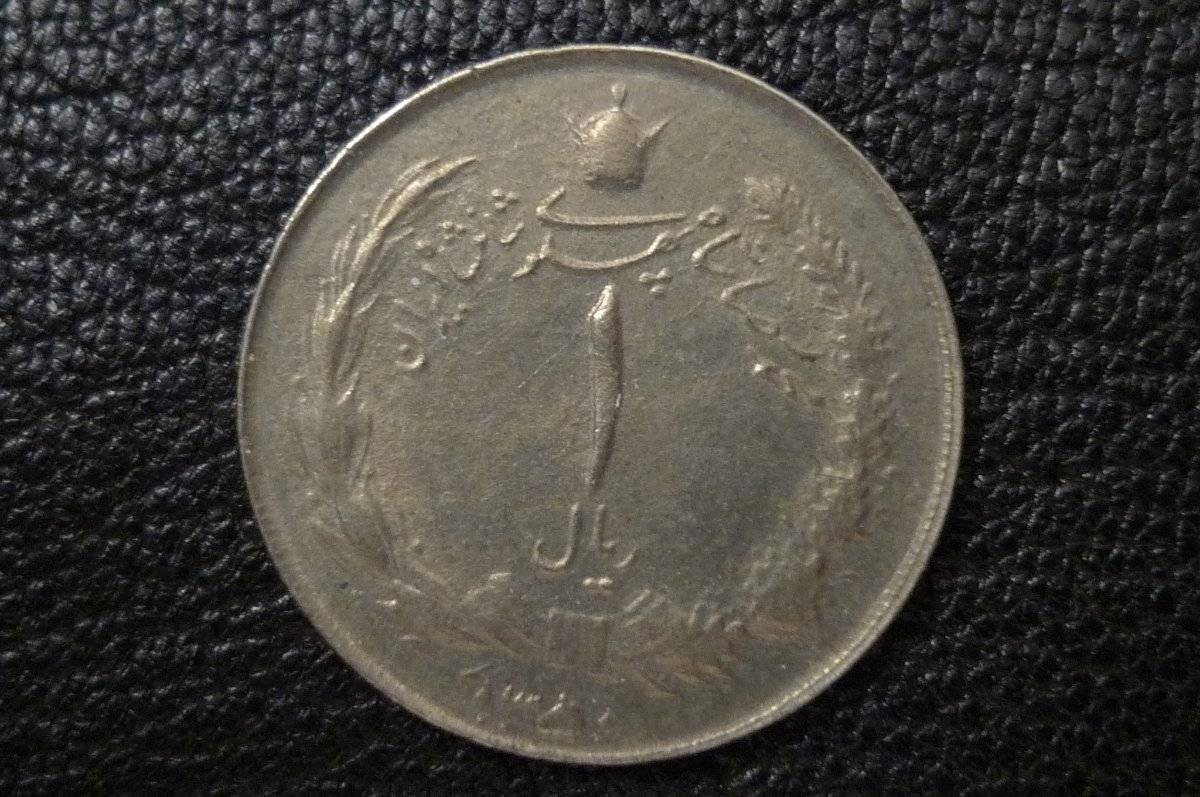 166-Days-Of-Yakko's-World-Coins