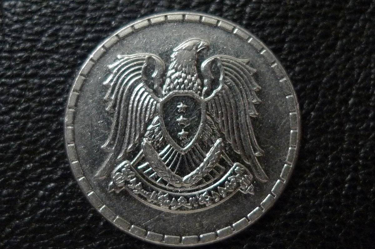 166-Days-Of-Yakko's-World-Coins