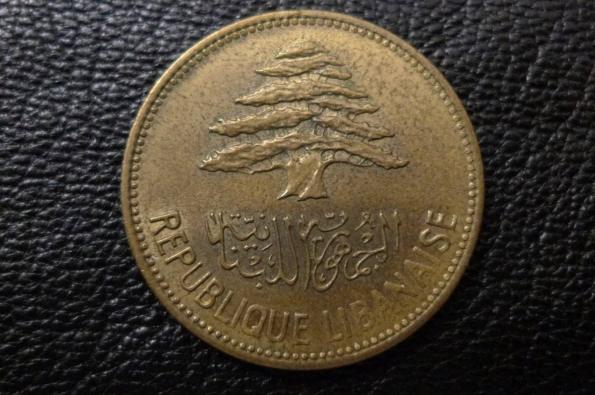 166-Days-Of-Yakko's-World-Coins