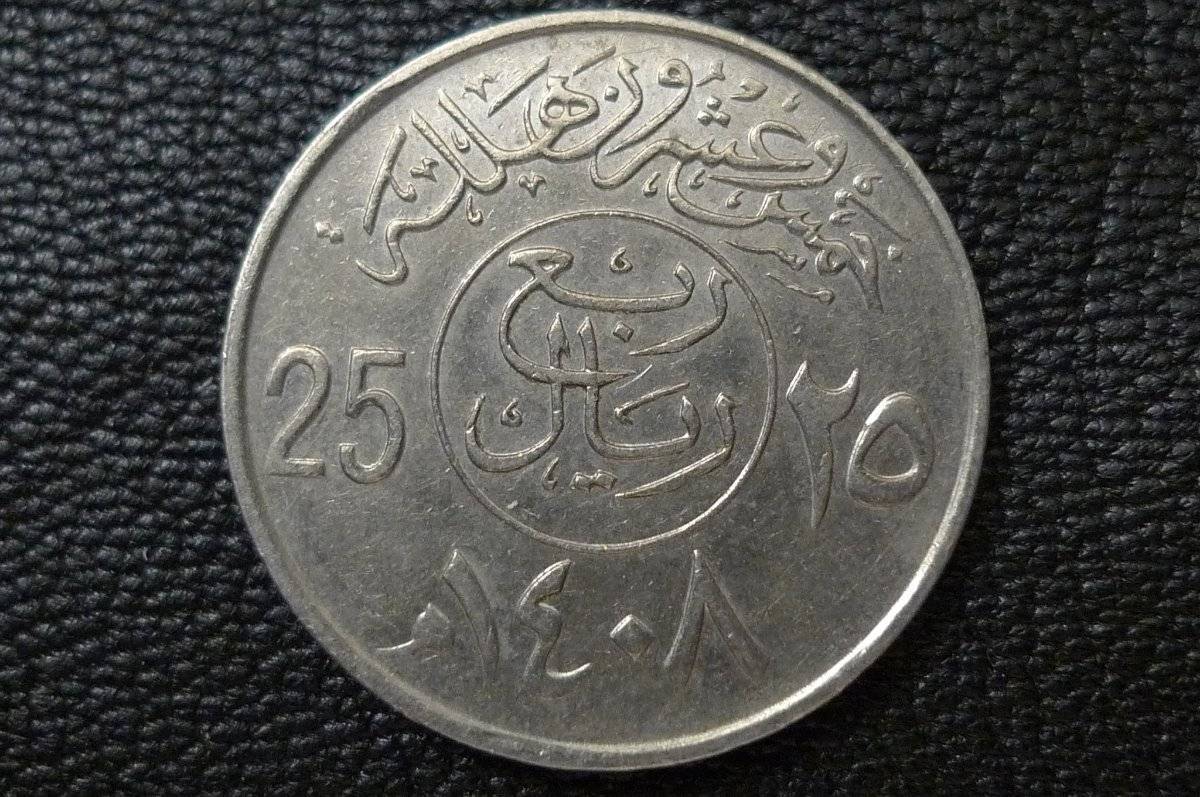 166-Days-Of-Yakko's-World-Coins