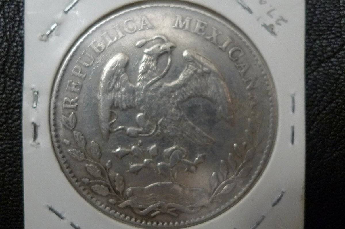 Post-Your-Coins-Representing-The-Animal-Kingdom.